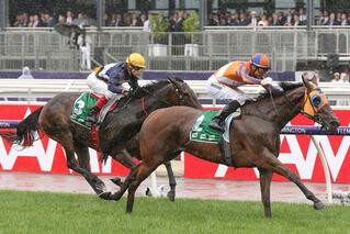 Melody Belle (NZ) wins Group One Empire Rose Stakes (1600m). 